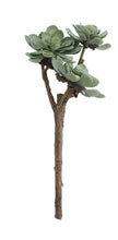Load image into Gallery viewer, Faux Succulent Branch
