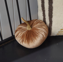Load image into Gallery viewer, Velvet Medium Pumpkin
