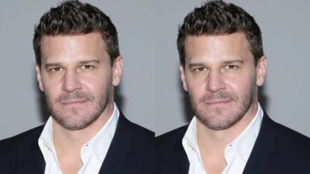 Behind the Scenes with David Borhaz: An Exclusive Interview