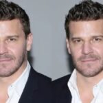 Behind the Scenes with David Borhaz: An Exclusive Interview