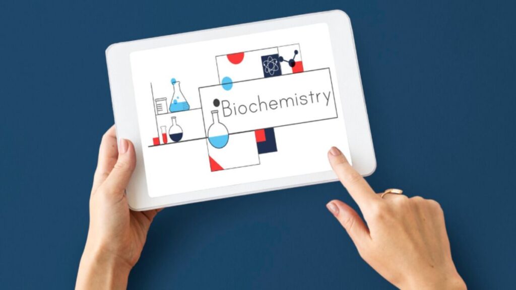 The Future of Blogging: What Makes Rapelusr Stand Out?